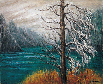 南方的太陽～林天瑞紀念展