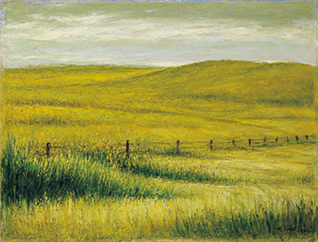 南方的太陽～林天瑞紀念展