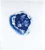 origin 24